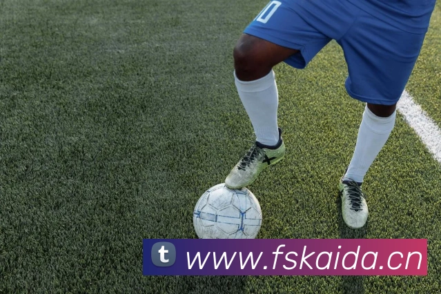 开云网页版在线登录app服务体系